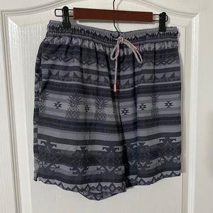 Mens Chubbies XL Unlined workout shorts